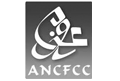 partner-ancf