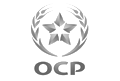 partner-ocp (1)